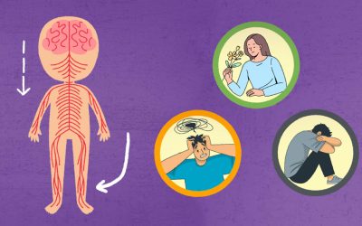 Die Polyvagal Theorie: Wenn der Körper nicht mehr kann – Chronische Krankheiten, Erschöpfung & Burnout